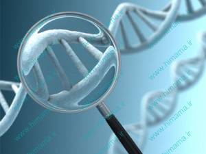 	تشخیص ژنتيکي پیش از لانه‌گزینی  