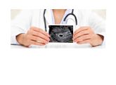 معیارهای سونوگرافی جنین در سه ماهه اول